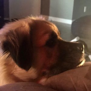 Meet your Posher, Jack